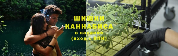 гидропоника Белоозёрский