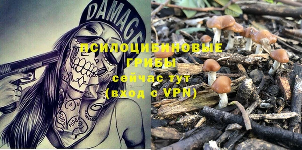 таблы Белокуриха