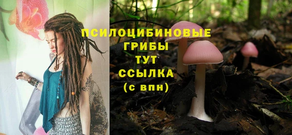 винт Беломорск