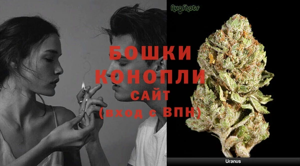 гидропоника Белоозёрский