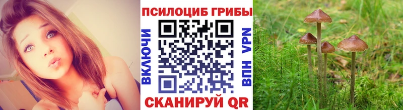 Псилоцибиновые грибы ЛСД  Онега 